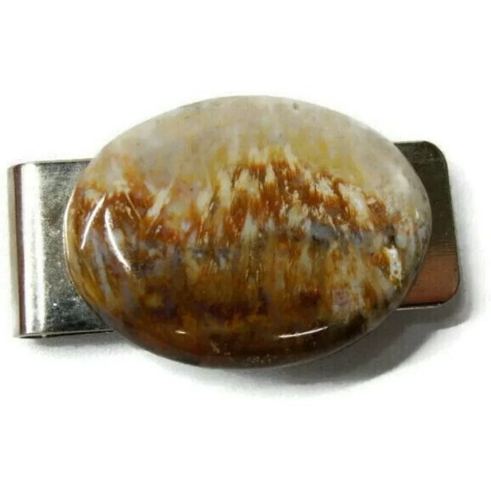 Silver Tone Money Clip Steel Polished Stone Oval Unique